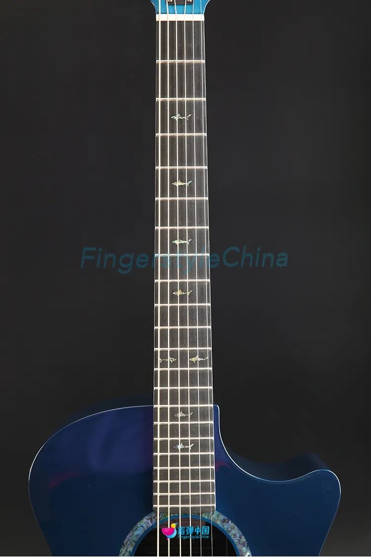 壹琴｜敢“下水”的吉他，声音会不会很烂？ 美产 Rainsong 2021定制款CO-OM1000N2M 碳纤维全石墨 电箱吉他
